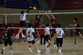 霍芬海姆3-0大胜奥格斯堡，布格尔传射，巴祖马纳-杜尔建功